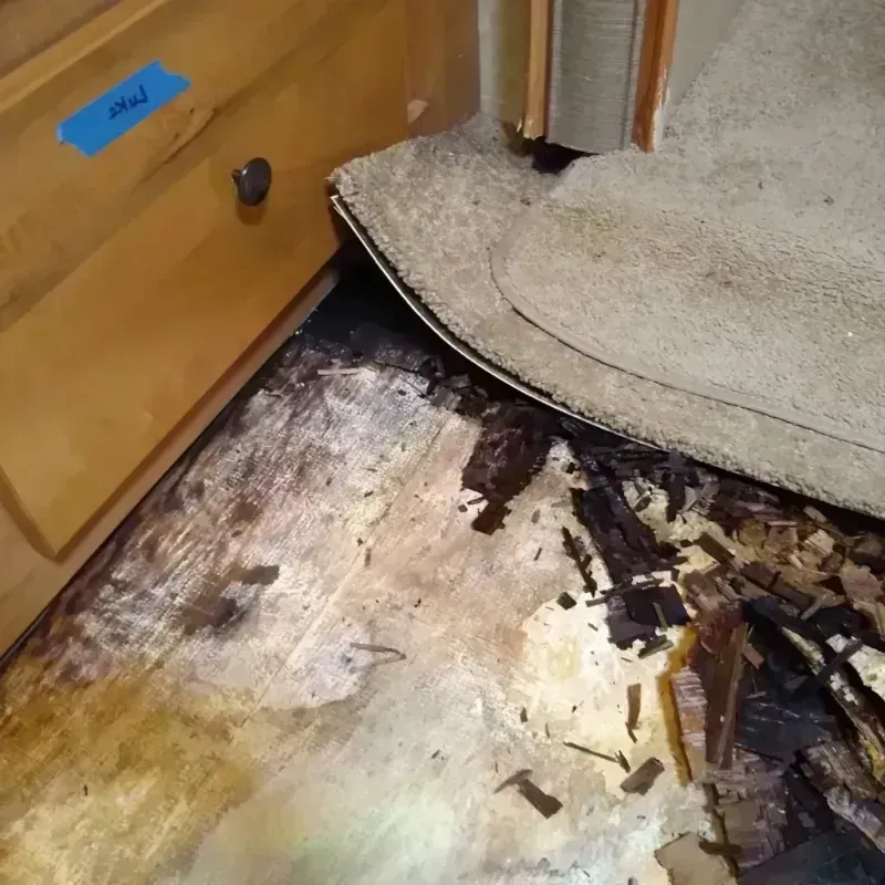 Wood Floor Water Damage in Huntsville, TN